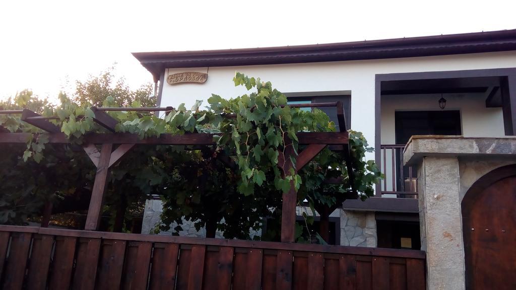 Guesthouse Orlovo Экстерьер фото